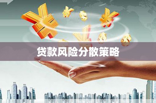 巴青贷款风险分散策略