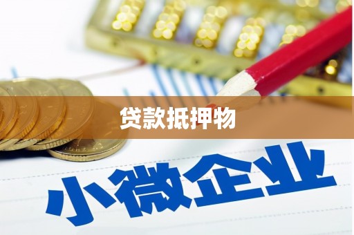 巴青贷款抵押物