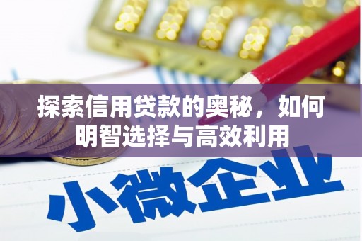 巴青探索信用贷款的奥秘，如何明智选择与高效利用