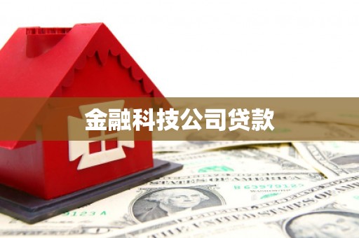 巴青金融科技公司贷款