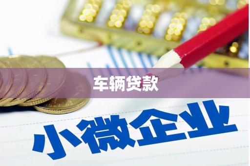 巴青车辆贷款