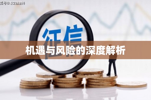 巴青机遇与风险的深度解析