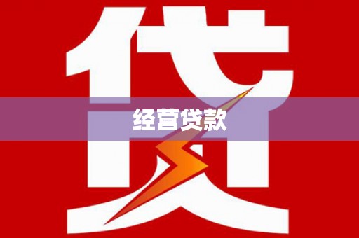 巴青经营贷款