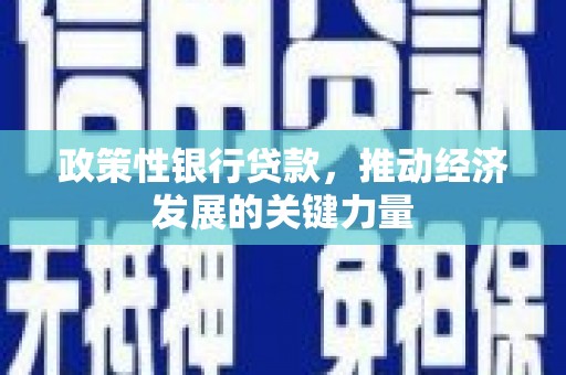 巴青政策性银行贷款，推动经济发展的关键力量