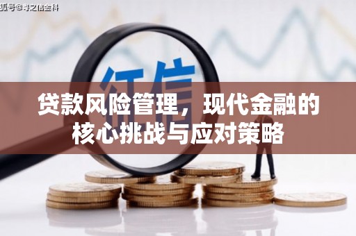 巴青贷款风险管理，现代金融的核心挑战与应对策略