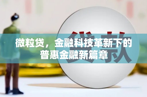 巴青微粒贷，金融科技革新下的普惠金融新篇章