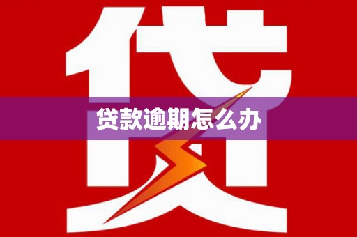 巴青贷款逾期怎么办