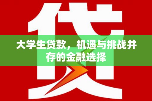 巴青大学生贷款，机遇与挑战并存的金融选择