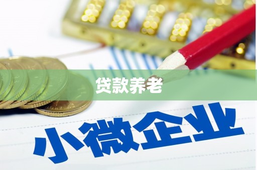 巴青贷款养老