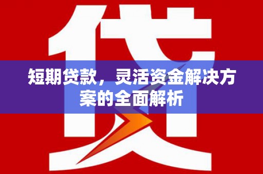 巴青短期贷款，灵活资金解决方案的全面解析