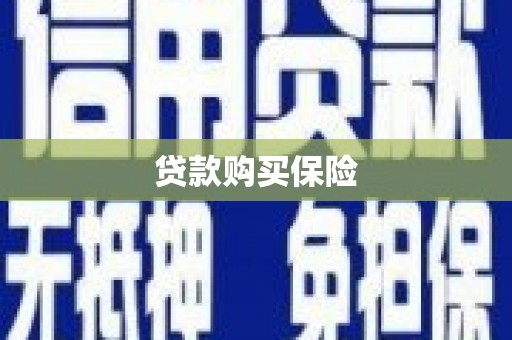 巴青贷款购买保险