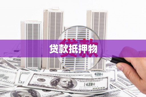 巴青贷款抵押物