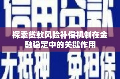 巴青探索贷款风险补偿机制在金融稳定中的关键作用