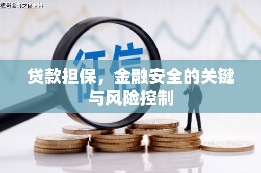 巴青贷款担保，金融安全的关键与风险控制