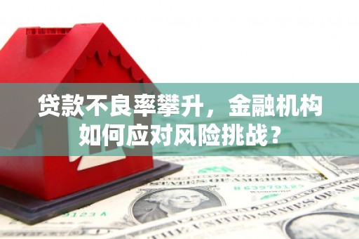 巴青贷款不良率攀升，金融机构如何应对风险挑战？