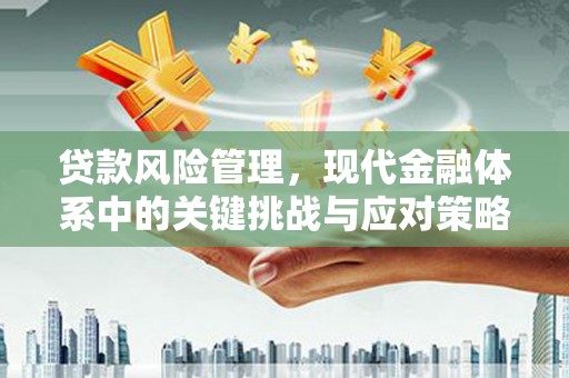 巴青贷款风险管理，现代金融体系中的关键挑战与应对策略