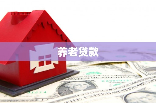 巴青养老贷款