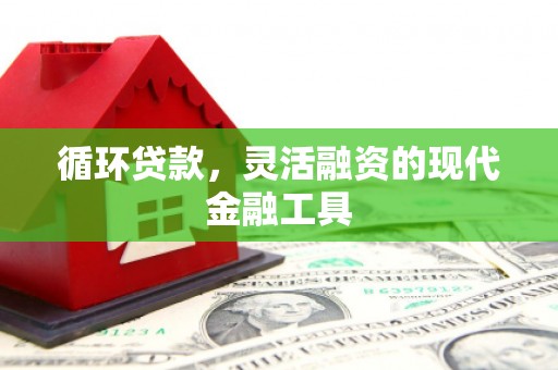 巴青循环贷款，灵活融资的现代金融工具