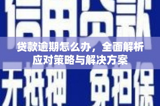 巴青贷款逾期怎么办，全面解析应对策略与解决方案