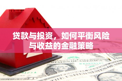 巴青贷款与投资，如何平衡风险与收益的金融策略