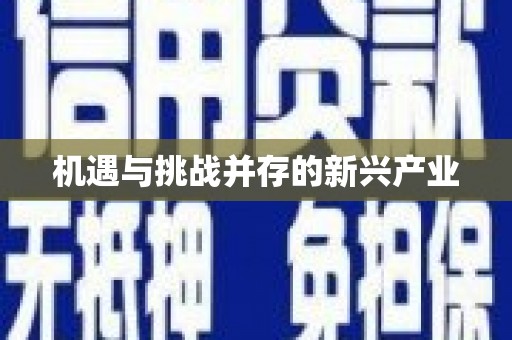 巴青机遇与挑战并存的新兴产业