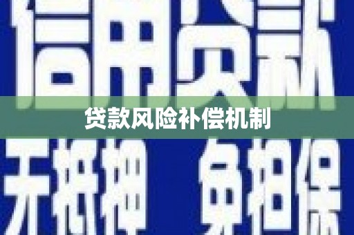 巴青贷款风险补偿机制