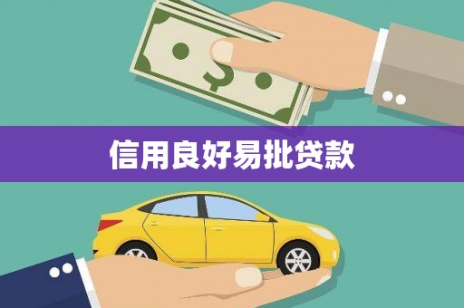 巴青信用良好易批贷款