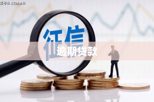 巴青逾期贷款