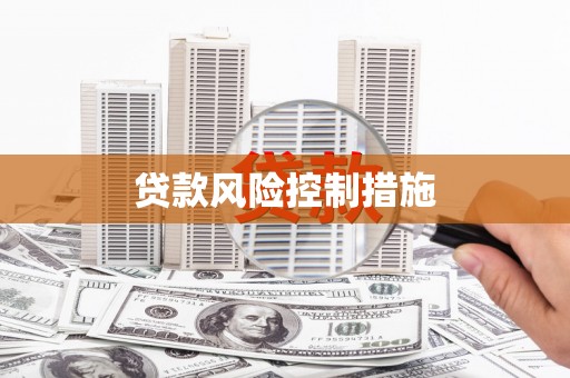 巴青贷款风险控制措施