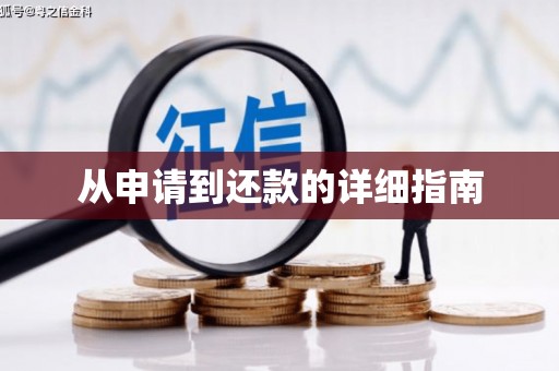 巴青从申请到还款的详细指南