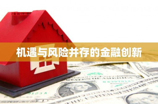 巴青机遇与风险并存的金融创新