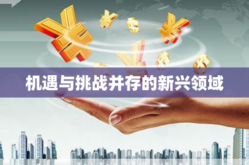 巴青机遇与挑战并存的新兴领域
