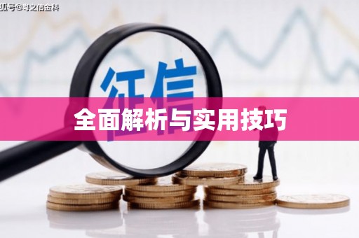 巴青全面解析与实用技巧 巴青全面解析与实用技巧