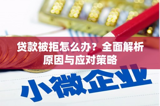 巴青贷款被拒怎么办？全面解析原因与应对策略
