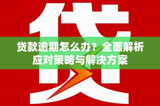 巴青贷款逾期怎么办？全面解析应对策略与解决方案