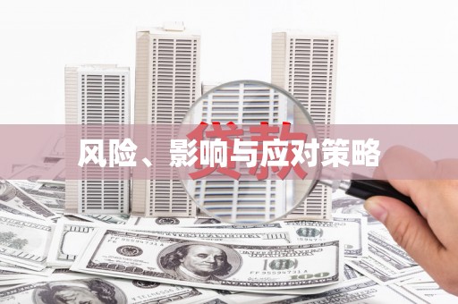 巴青风险、影响与应对策略