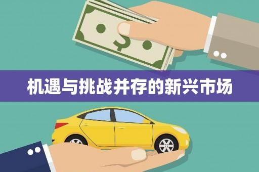 巴青机遇与挑战并存的新兴市场
