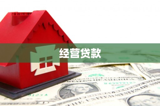 巴青经营贷款