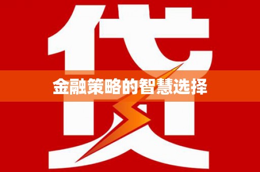 巴青金融策略的智慧选择