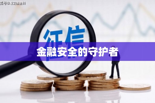 巴青金融安全的守护者