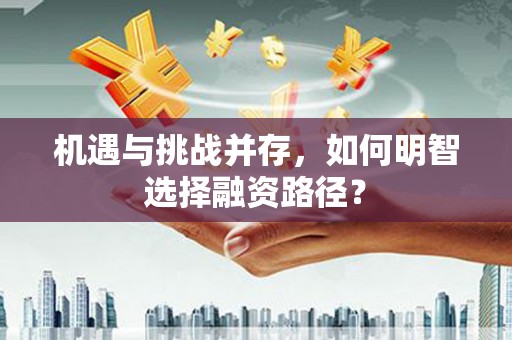 巴青机遇与挑战并存，如何明智选择融资路径？