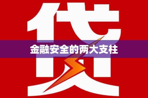 巴青金融安全的两大支柱