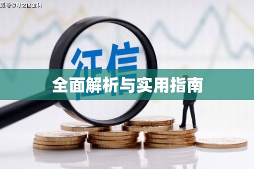 巴青全面解析与实用指南