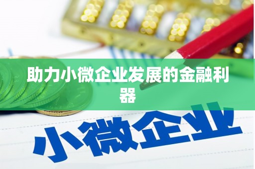 巴青助力小微企业发展的金融利器