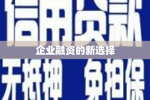 巴青企业融资的新选择