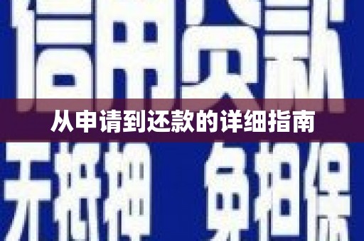 巴青从申请到还款的详细指南