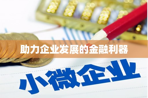 巴青助力企业发展的金融利器