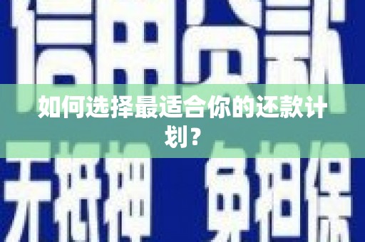 巴青如何选择最适合你的还款计划？