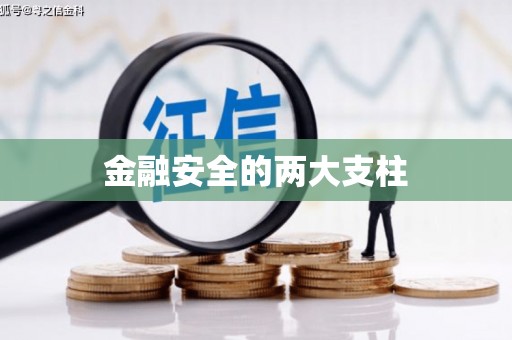 巴青金融安全的两大支柱