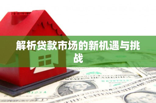 巴青解析贷款市场的新机遇与挑战